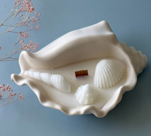 Conch Shell Candle